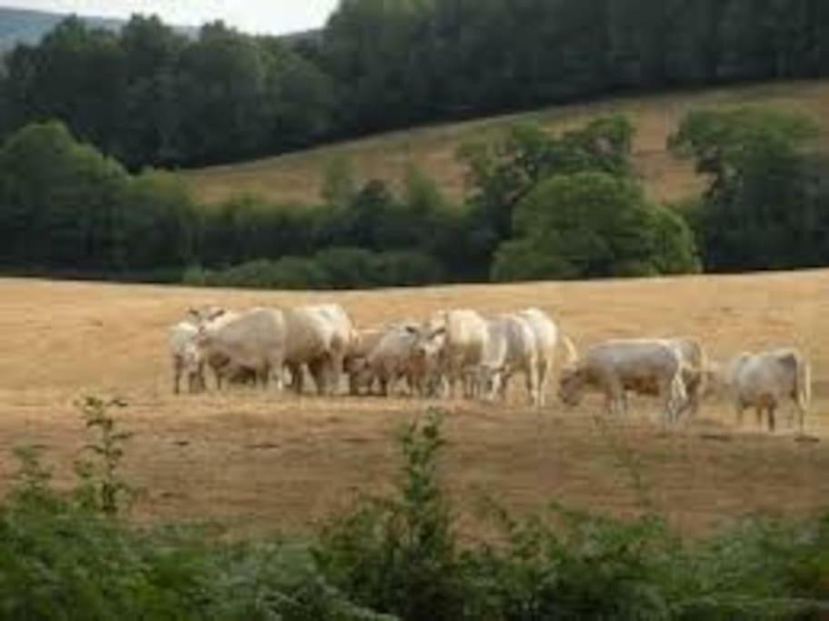 La Ferme Des Pierrettes Villa Menneville Exteriör bild
