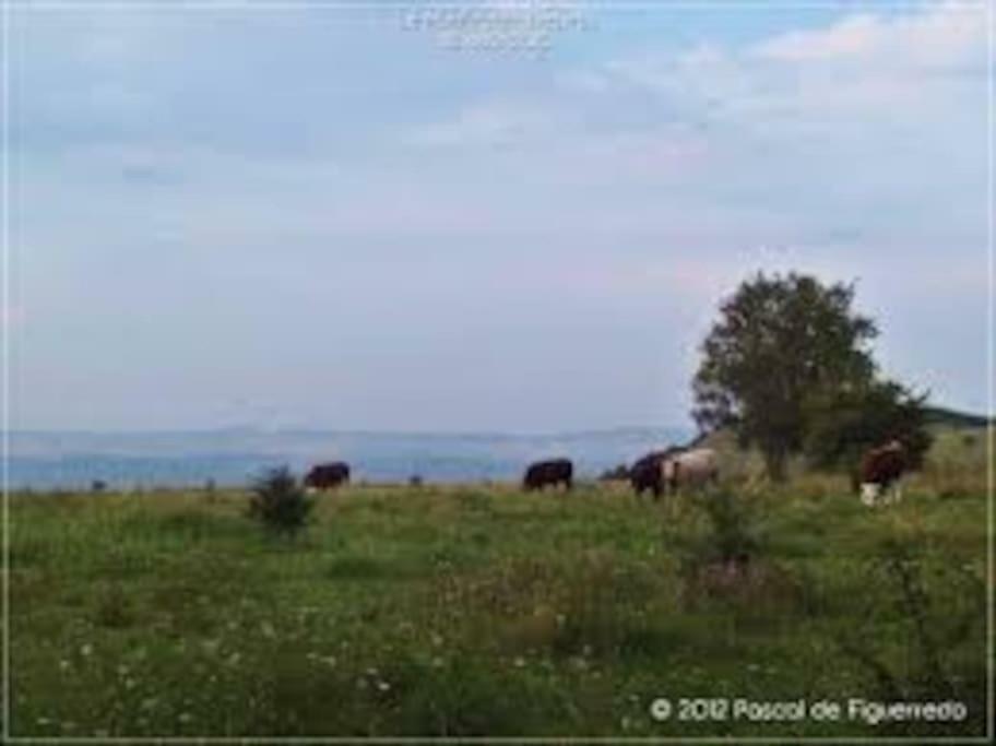 La Ferme Des Pierrettes Villa Menneville Exteriör bild